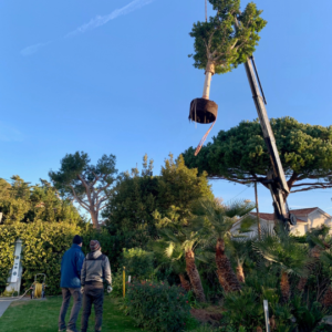 French Villa Management landscaping gardening construction Biot